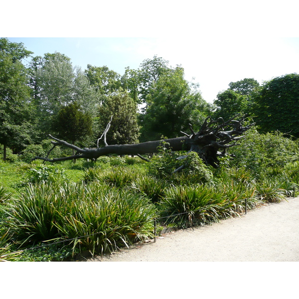 Photo France Paris Jardin des Tuileries 2007-05 260
