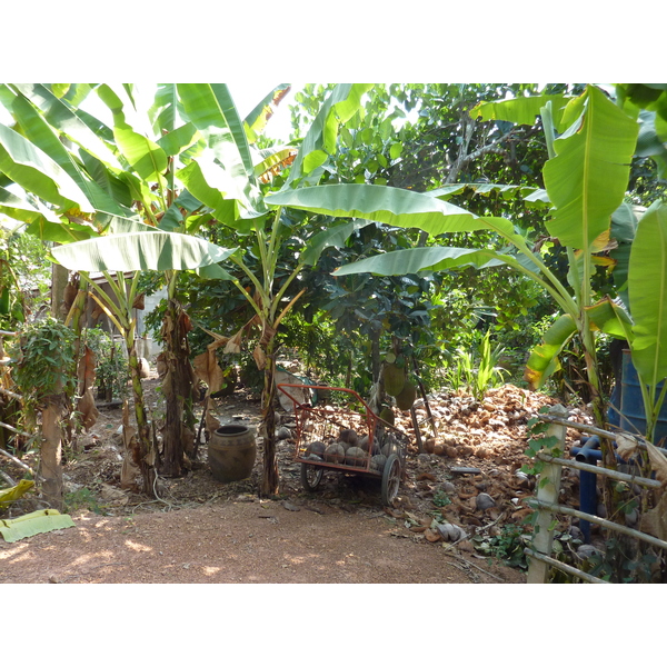 Photo Thaïlande Phitsanulok Chom Thong 2009-12 6