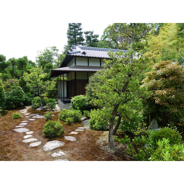 Photo Japon Kyoto Château Nijo 2010-06 9