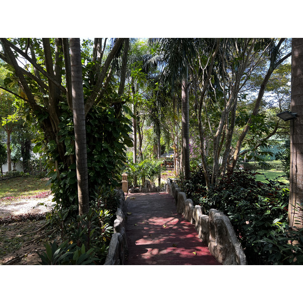 Photo Thaïlande Phuket Plage de Kata Kata Garden Resort 2021-12 8