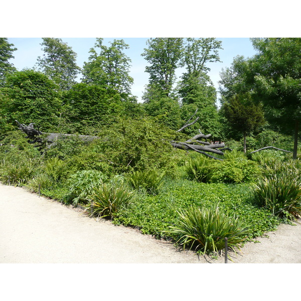 Photo France Paris Jardin des Tuileries 2007-05 290