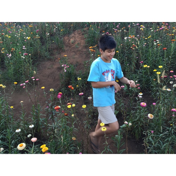 Photo Thaïlande Parc National Phu Hin Rong Kla 2014-12 102
