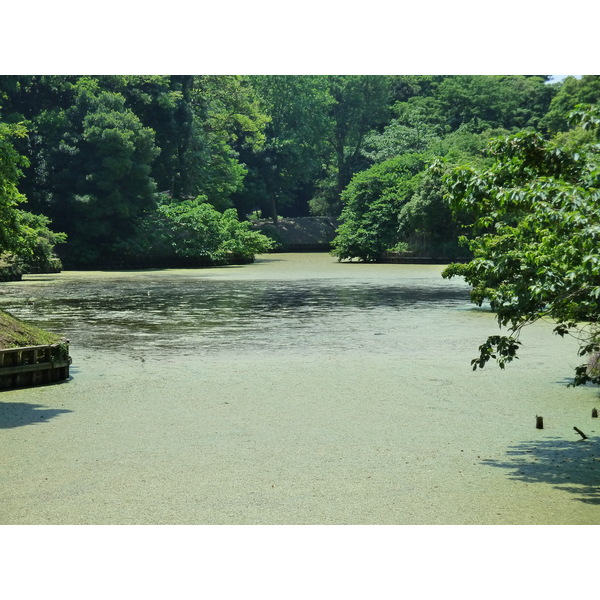 Photo Japon Tokyo Jardins Hama rikyu 2010-06 26