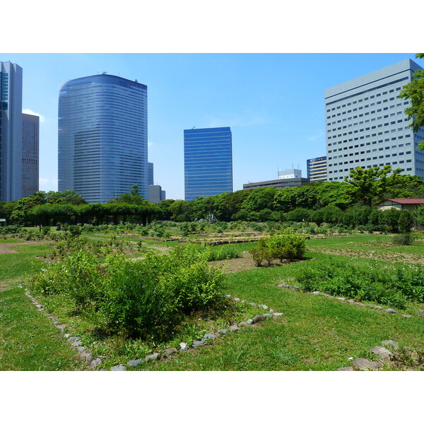Photo Japon Tokyo Jardins Hama rikyu 2010-06 39