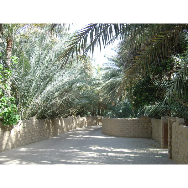 Photo Émirats arabes unis Al Ain Oasis 2005-03 24