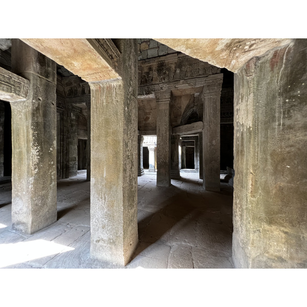 Photo Cambodge Siem Reap Ta Prohm 2023-01 22