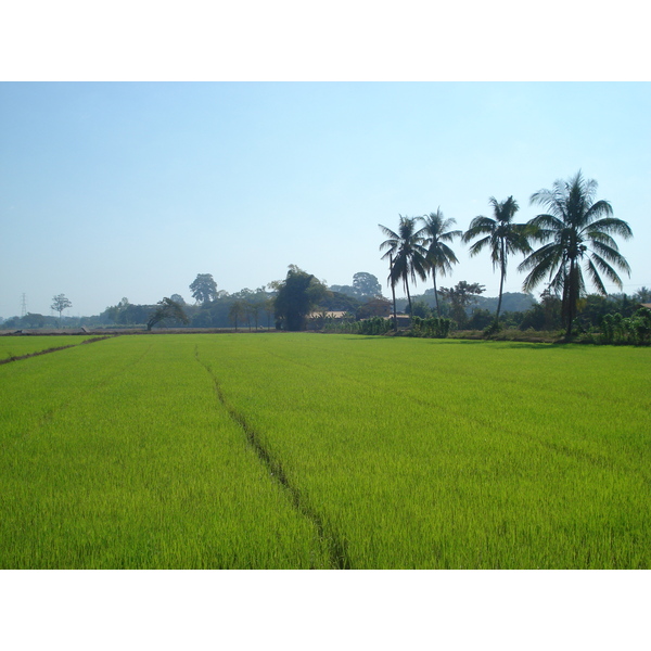 Photo Thaïlande Phitsanulok 2008-01 4