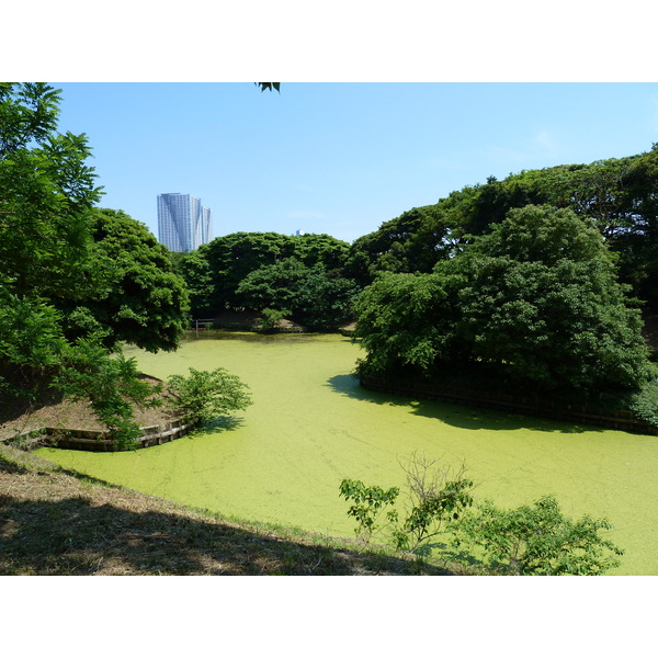Photo Japon Tokyo Jardins Hama rikyu 2010-06 62