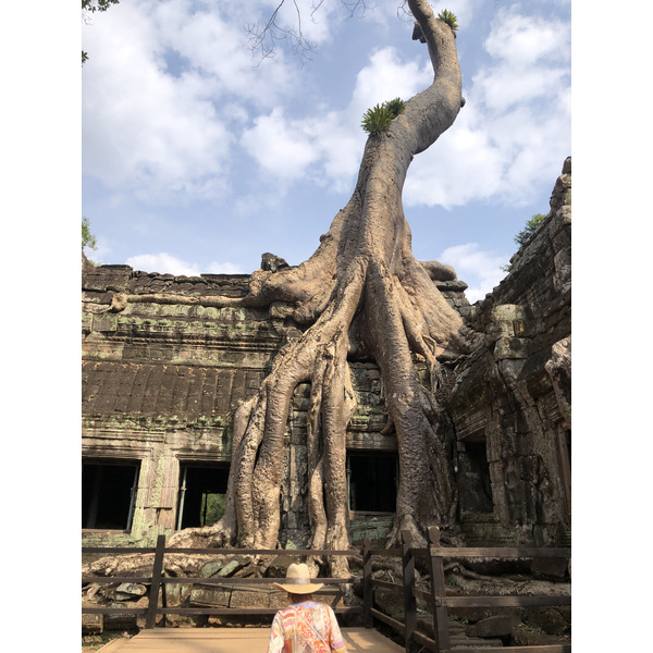Photo Cambodge Siem Reap Ta Prohm 2023-01 74
