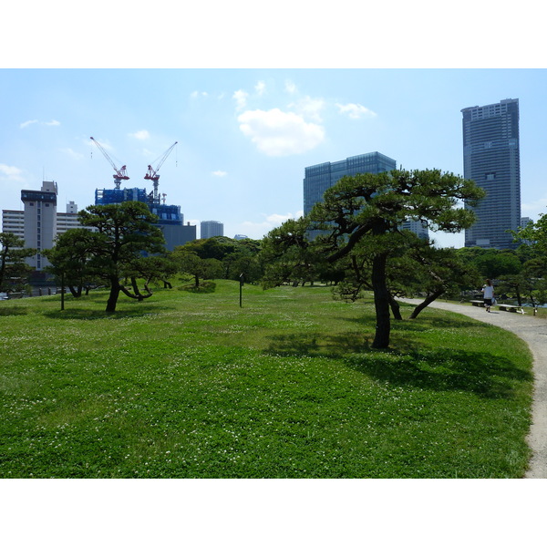 Photo Japon Tokyo Jardins Hama rikyu 2010-06 90