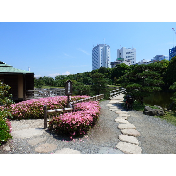 Photo Japon Tokyo Jardins Hama rikyu 2010-06 73
