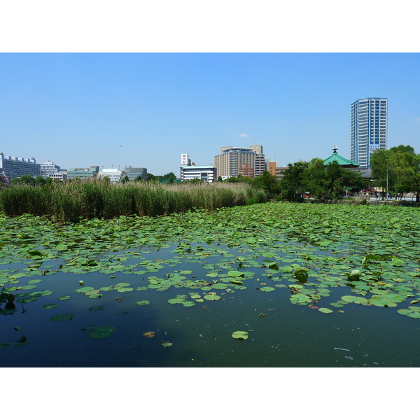 Photo Japon Tokyo Ueno 2010-06 62