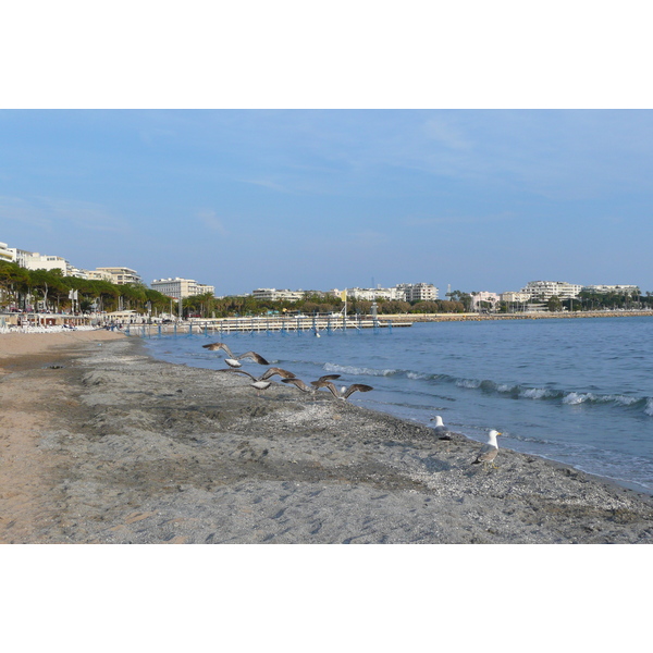 Photo France Cannes Plage 2008-04 0