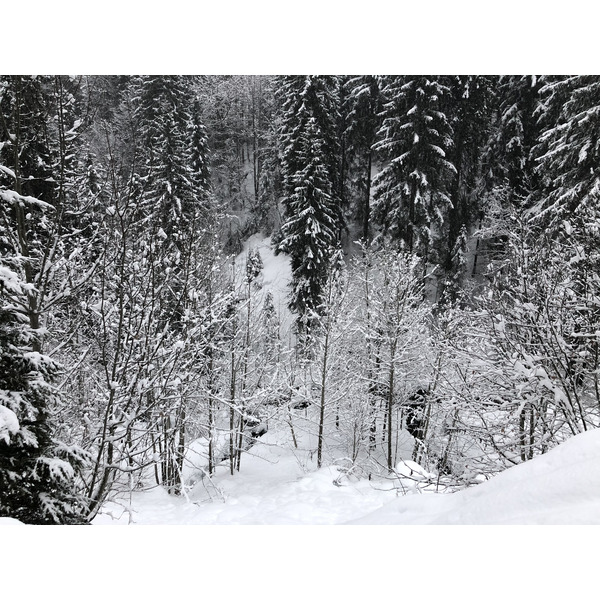 Photo France La Clusaz 2017-12 74