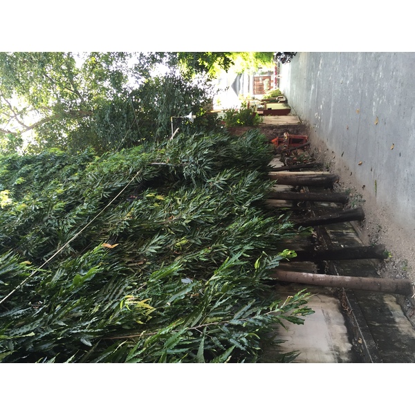 Photo Thaïlande Chiang Mai 2014-12 43