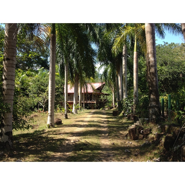 Photo Costa Rica Uvita 2015-03 31