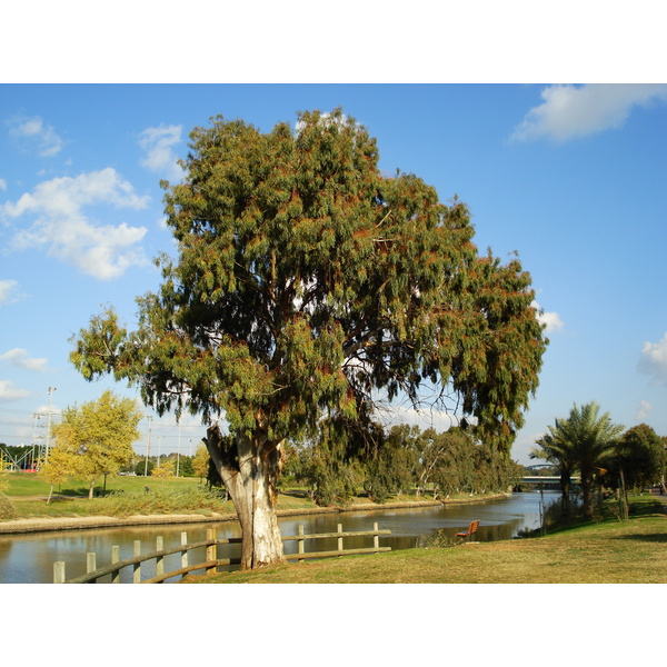 Photo Israel Tel Aviv 2006-12 82