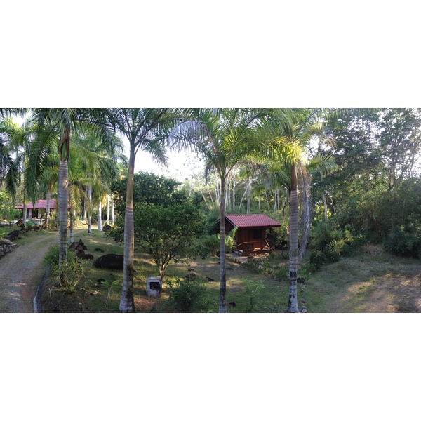 Photo Costa Rica Uvita 2015-03 72