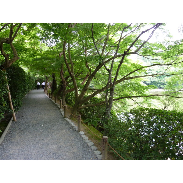 Photo Japon Kyoto temple Ryoanji 2010-06 48