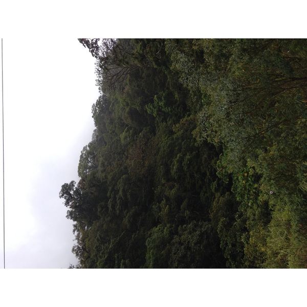 Photo Panama David à Bocas del toro 2015-03 99