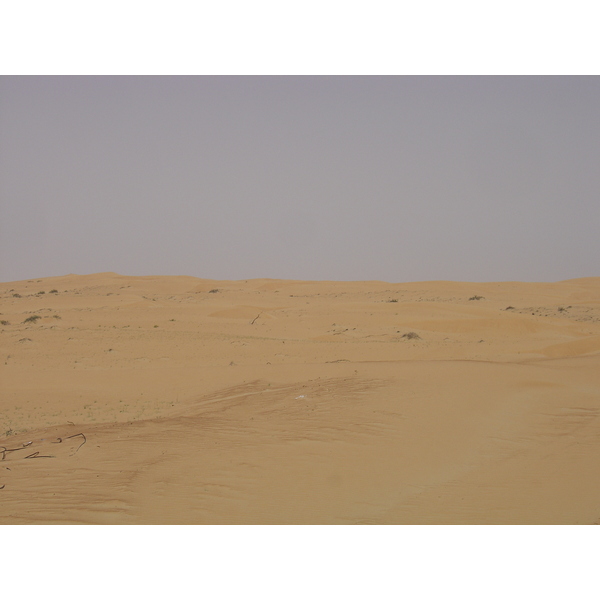 Photo Émirats arabes unis Route de Dubai à Al Ain 2005-03 57
