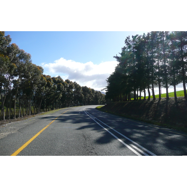 Photo Afrique du Sud Route de Harmanus à Knysna 2008-09 137