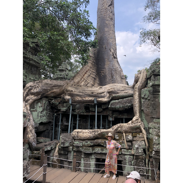 Photo Cambodge Siem Reap Ta Prohm 2023-01 78