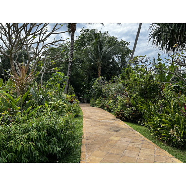 Photo Thaïlande Phuket Plage de Karon Restaurant On the rock 2021-12 72