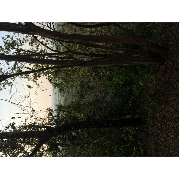 Photo Thaïlande Parc Si satchanalai 2014-12 104