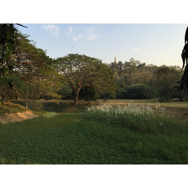 Photo Thaïlande Parc Si satchanalai 2014-12 54