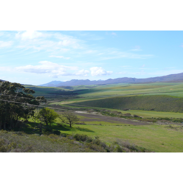 Photo Afrique du Sud Route de Harmanus à Knysna 2008-09 150