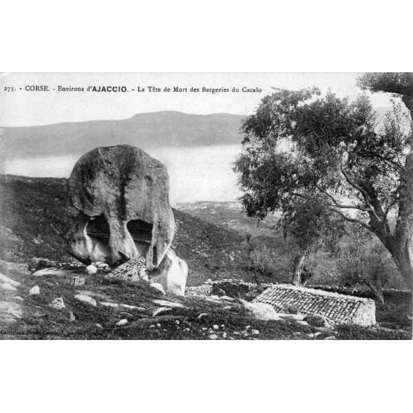 Photo France Corse Cartes postales anciennes 1900-01 336