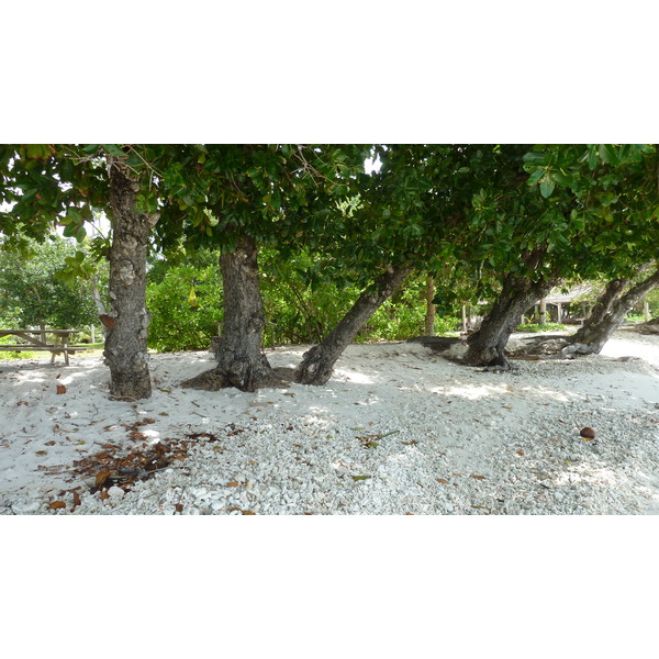 Photo Seychelles Grande Soeur 2011-10 53