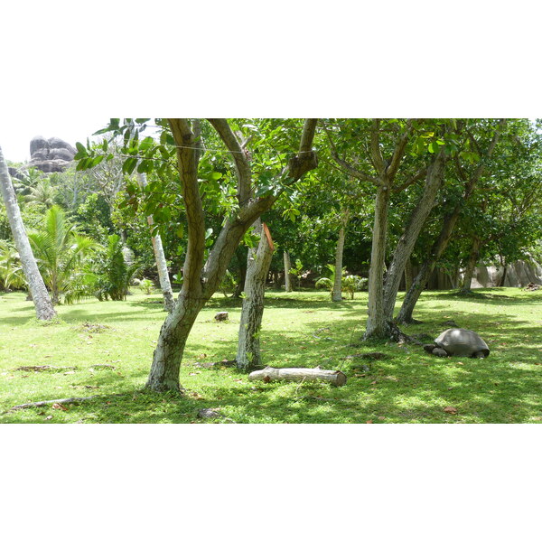 Photo Seychelles Grande Soeur 2011-10 37