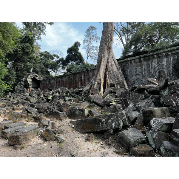Photo Cambodge Siem Reap Ta Prohm 2023-01 12