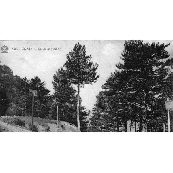 Photo France Corse Cartes postales anciennes 1900-01 232