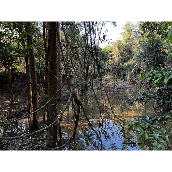 Photo Cambodge Siem Reap Ta Som 2023-01 30