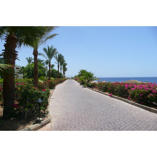 Photo Égypte Sharm el Sheikh Hôtel Hyatt 2008-06 55