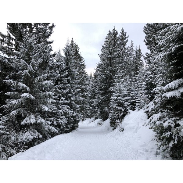 Photo France La Clusaz 2017-12 286