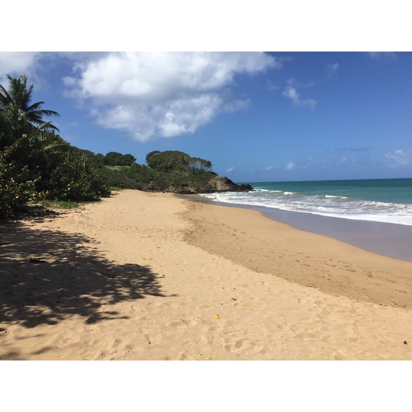 Photo Guadeloupe Deshaies 2021-02 1