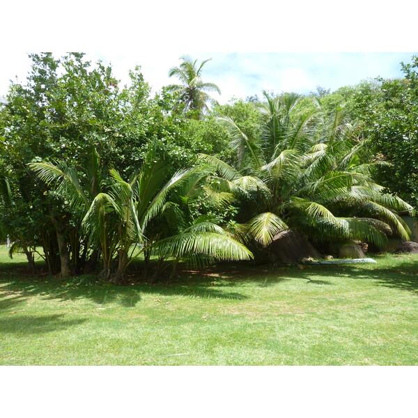 Photo Seychelles Grande Soeur 2011-10 110
