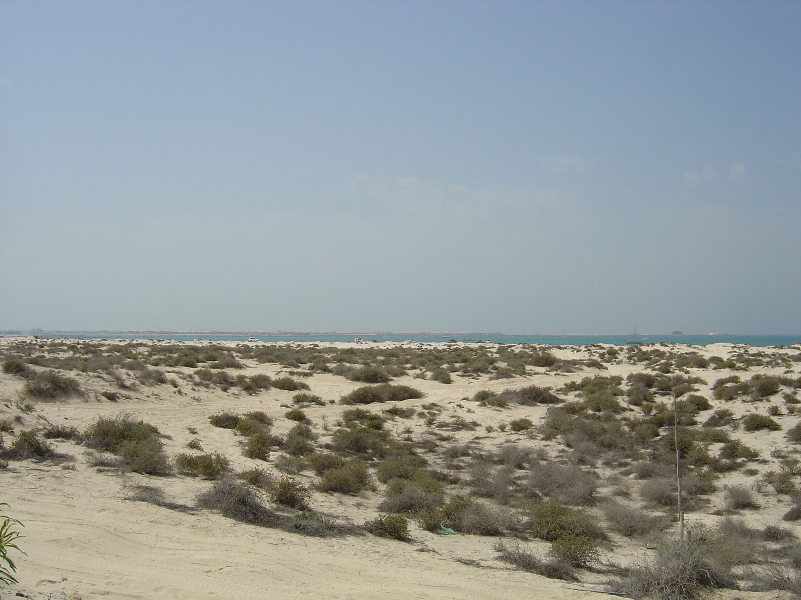Photo Émirats arabes unis Dubai Plage de Jumeira 2005-03 9