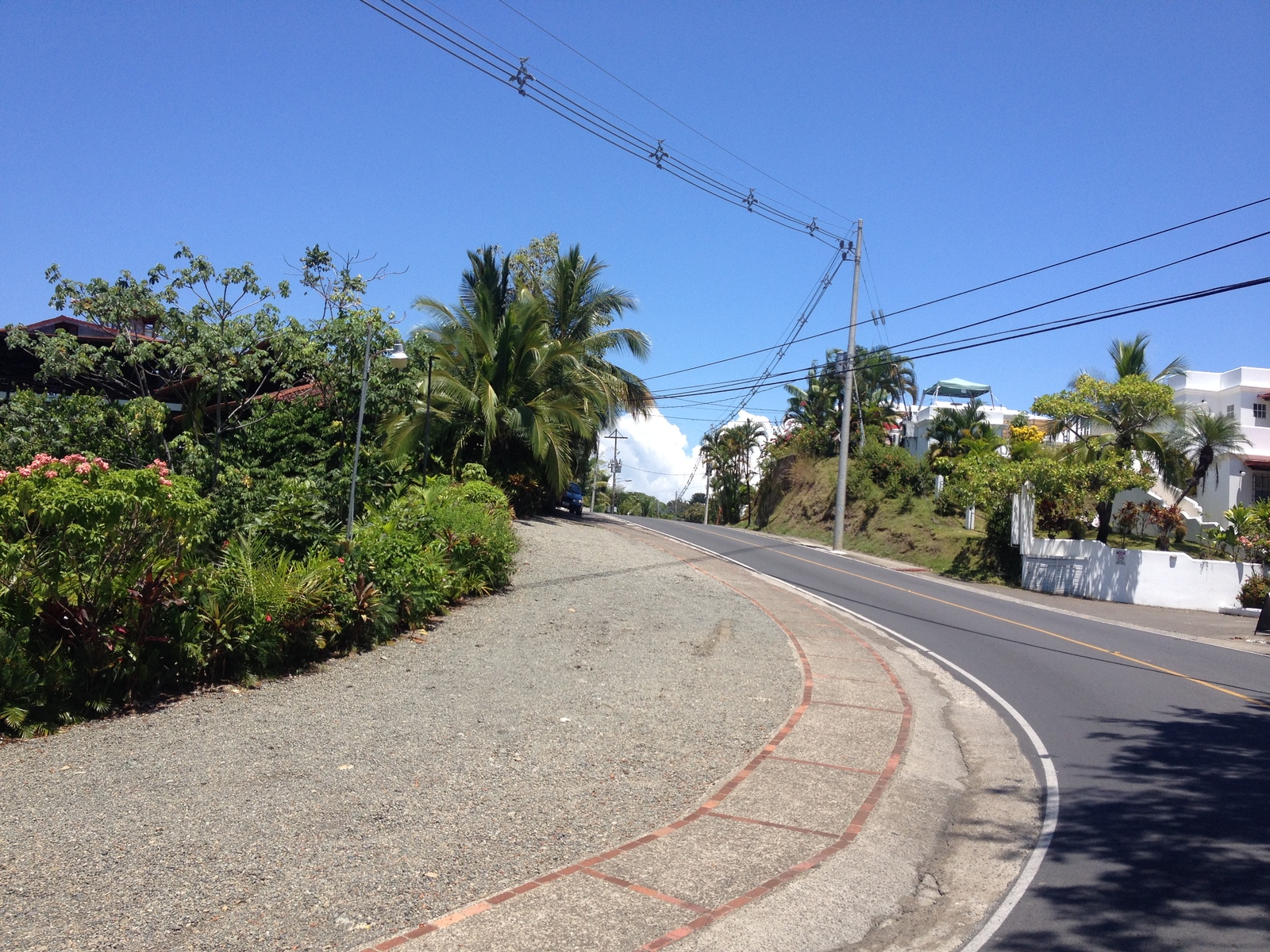 Photo Costa Rica Parc Manuel Antonio 2015-03 103