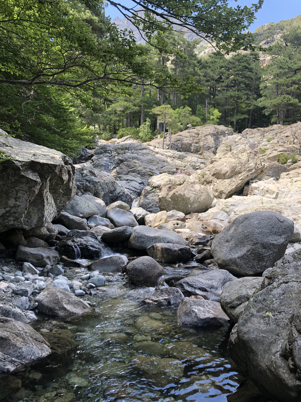 Photo France Corse Cascade des Anglais 2020-07 6