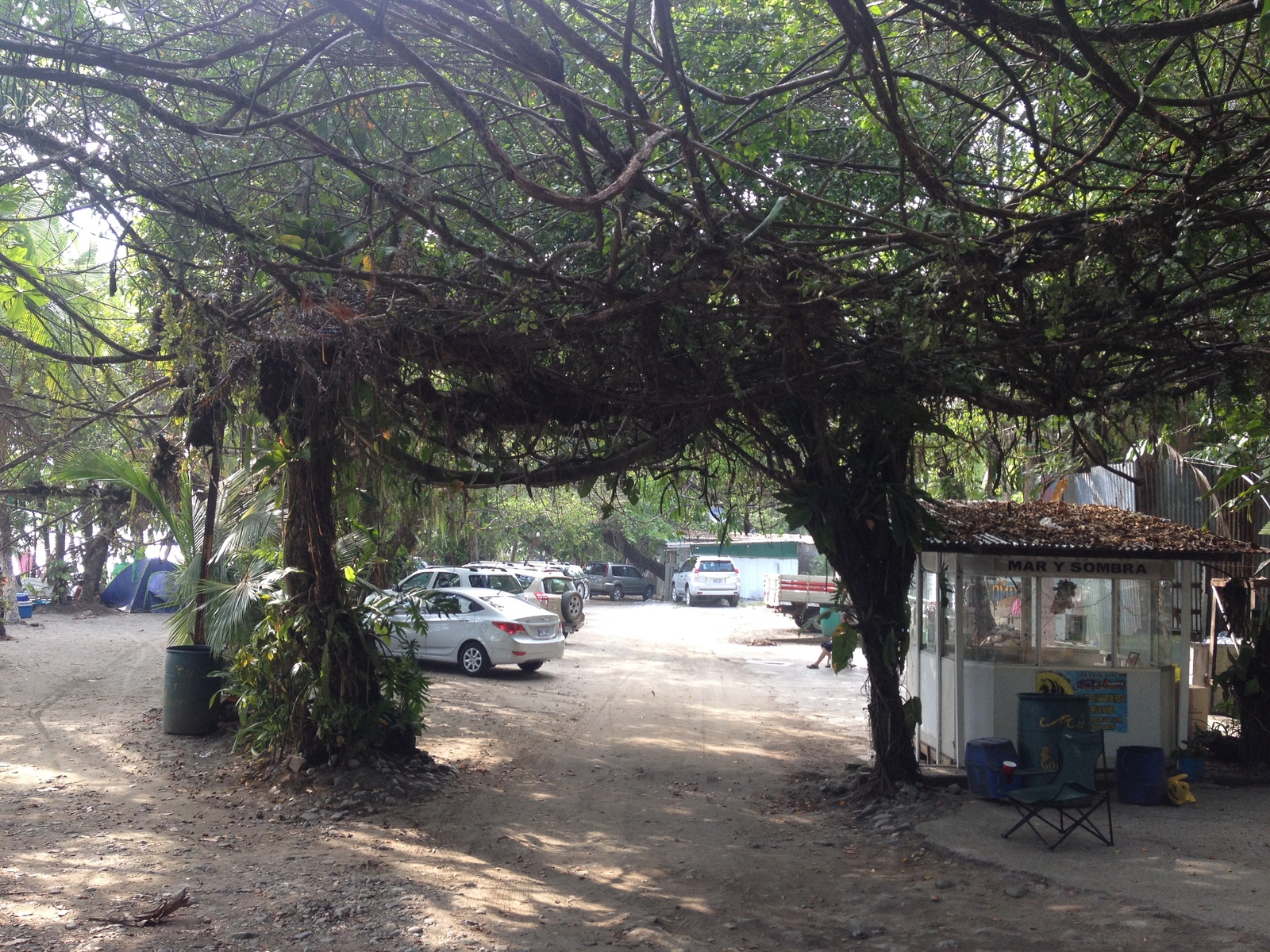 Photo Costa Rica Parc Manuel Antonio 2015-03 355