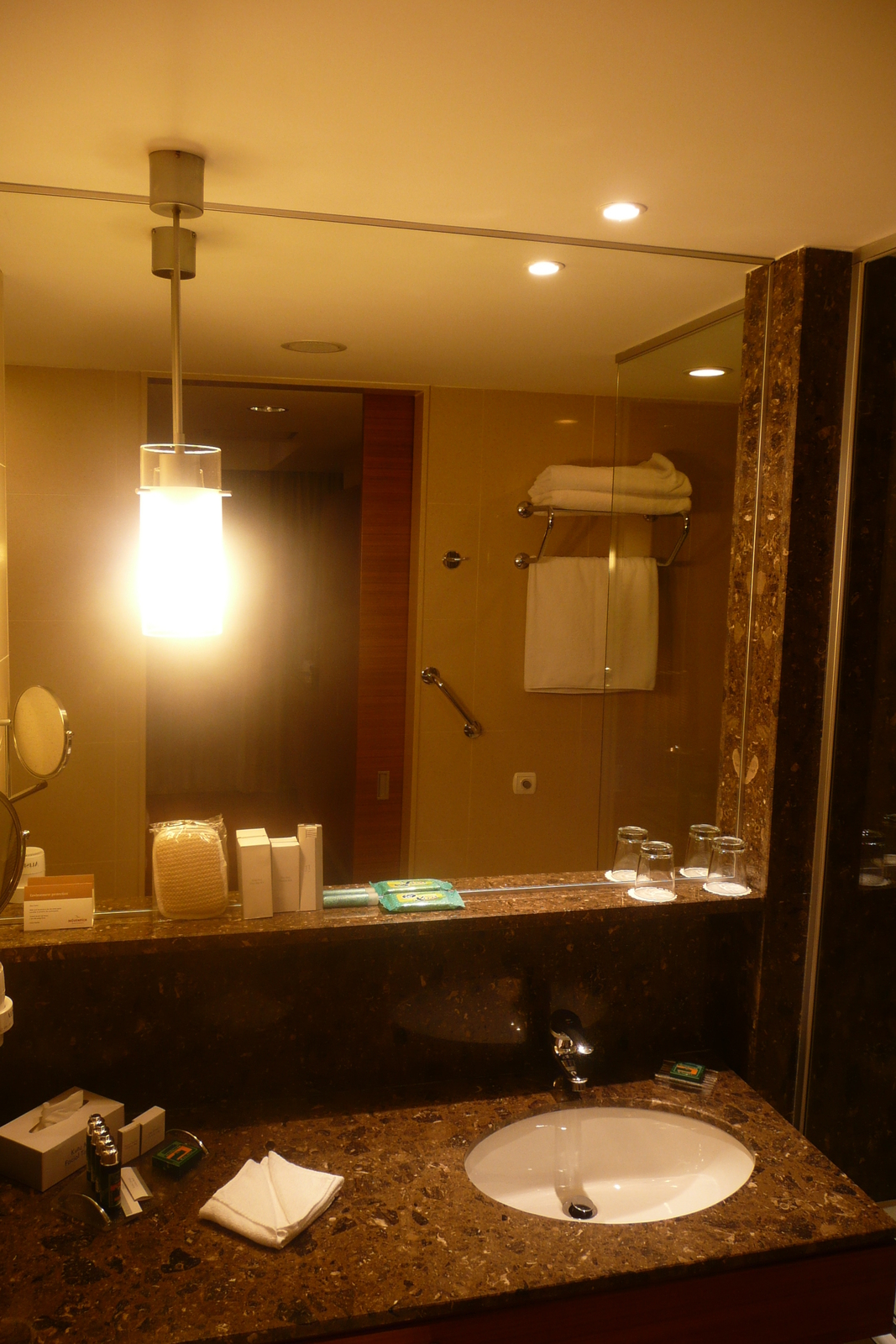 Photo Turquie Istanbul Hotel Movenpick Istanbul 2009-04 4