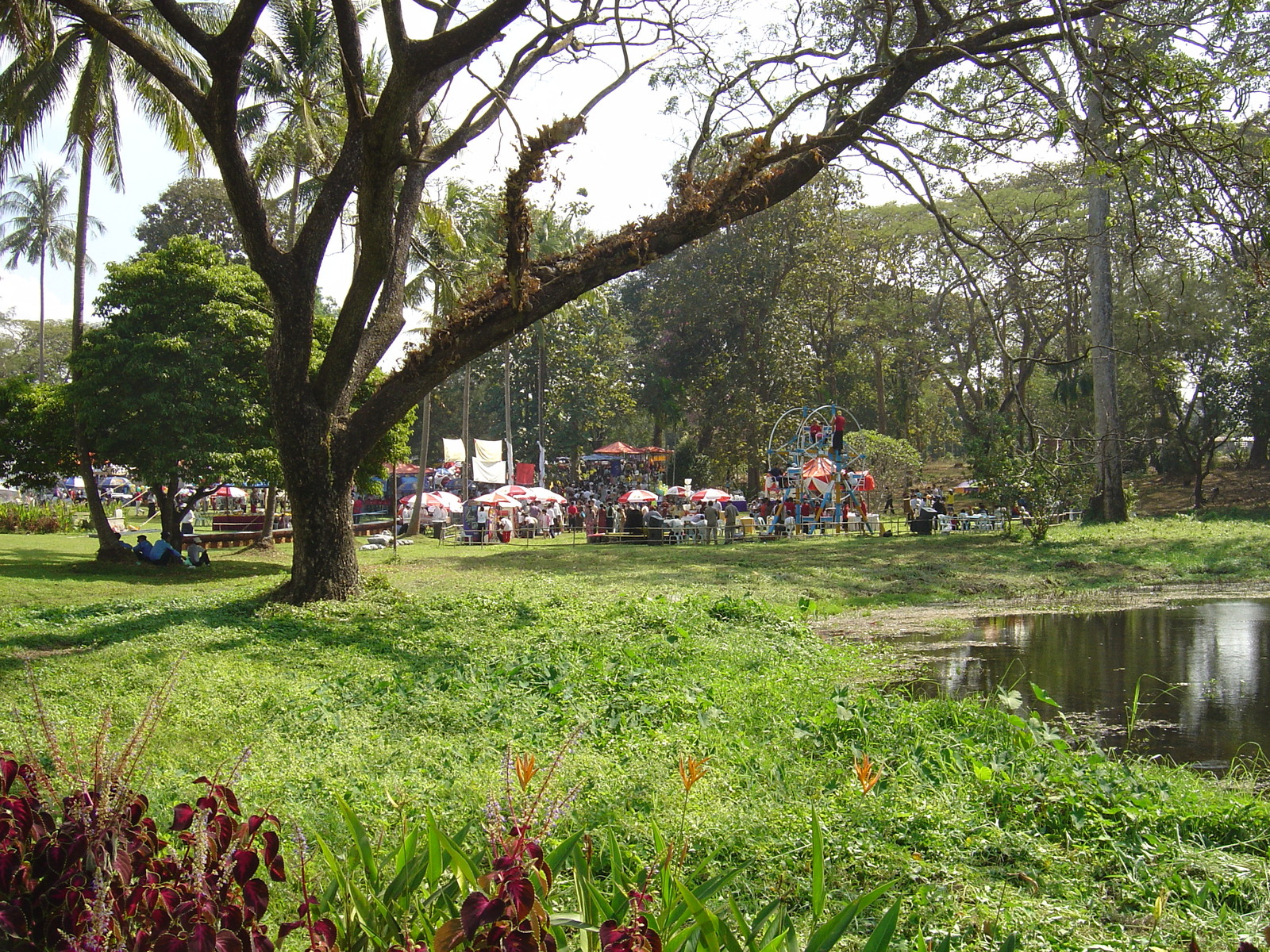 Photo Birmanie (Myanmar) Rangoun Hotel Dusit Inya Lake 2005-01 13