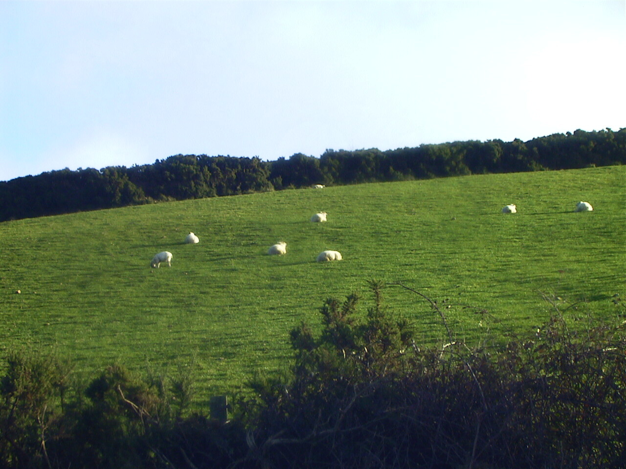 Photo Irlande 2000-11 5
