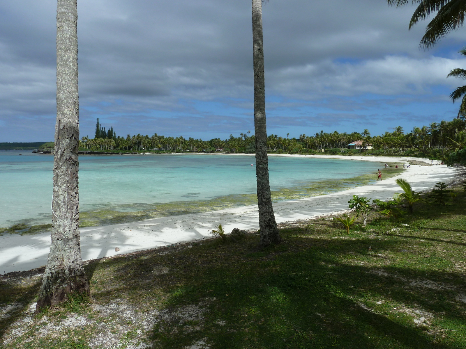 Photo Nouvelle-Calédonie Lifou Baie des tortues 2010-05 33