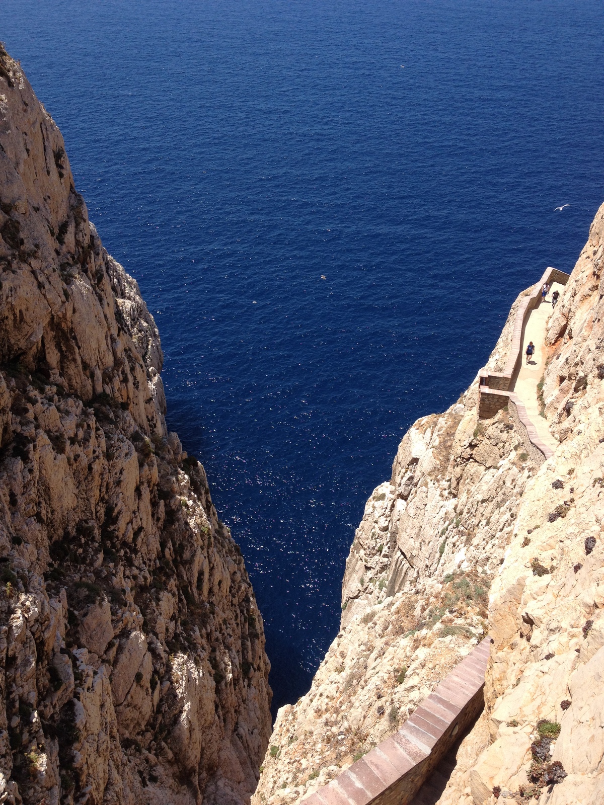 Photo Italie Sardaigne Capo Caccia 2015-06 63
